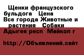 Щенки французского бульдога › Цена ­ 30 000 - Все города Животные и растения » Собаки   . Адыгея респ.,Майкоп г.